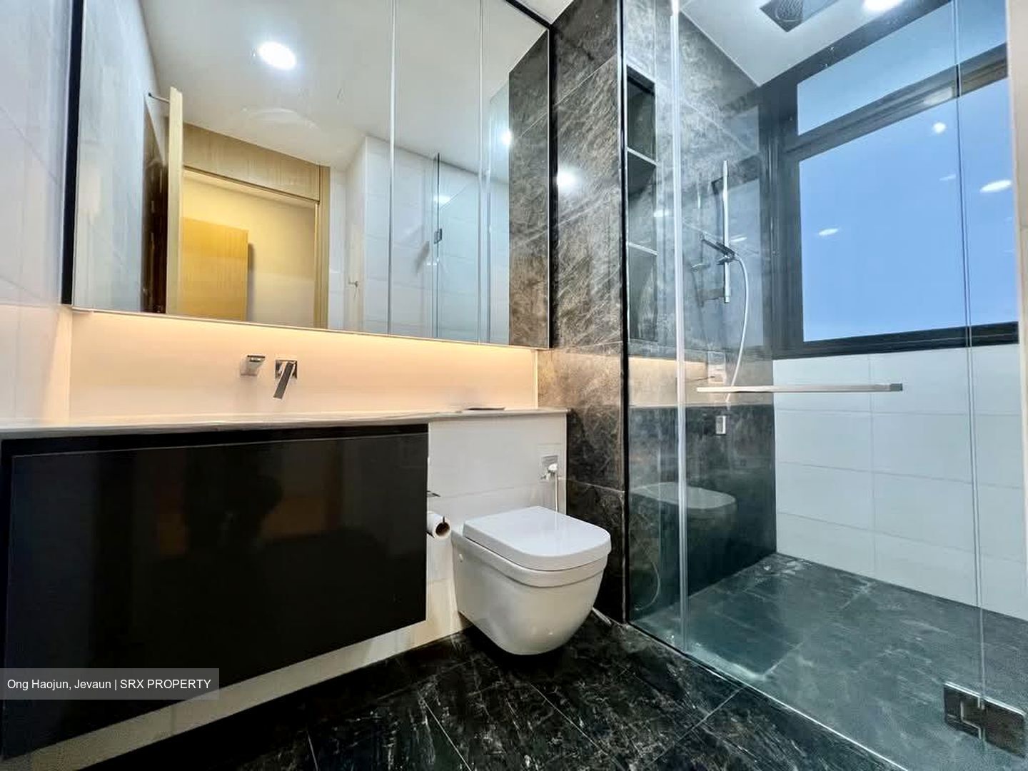 Scotts Road (D9), Condominium #565598521
